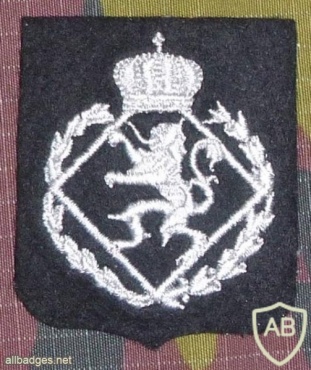 Belgium Royal Military school patch img7225
