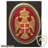 Senior army officer cap badge