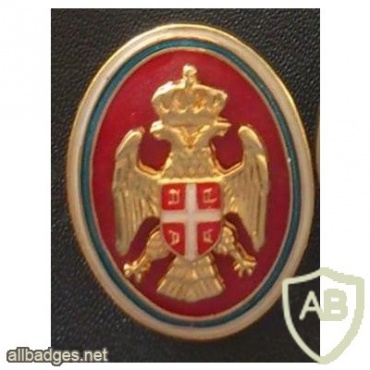 Senior army officer cap badge img7254