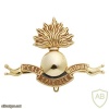 Special Military School/academy cap badge img7419