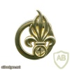 1st Foreign engineers regiment cap badge img7396