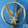 Army aviation cap badge, silver