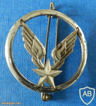 Army aviation cap badge, silver img7370