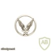 Army aviation cap badge, silver img7372