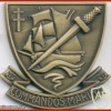 Commandos Marine beret badge img7422