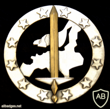 Eurocorps beret badge img7424