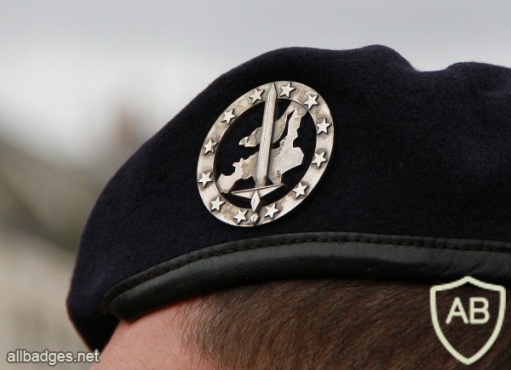 Eurocorps beret badge img7425