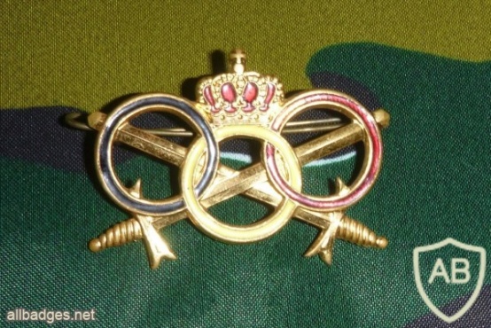 Belgium army sport fitness badge, old img7549
