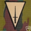 Para Commando shoulder patch, desert img7526