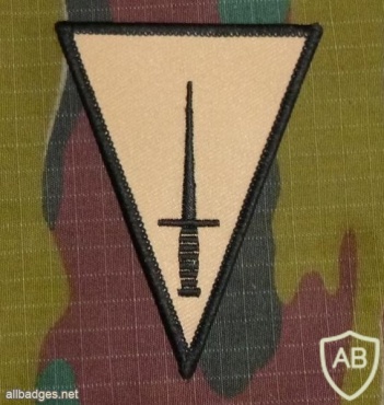 Para Commando shoulder patch, desert img7526