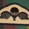 Para Commando Wings, desert img7529