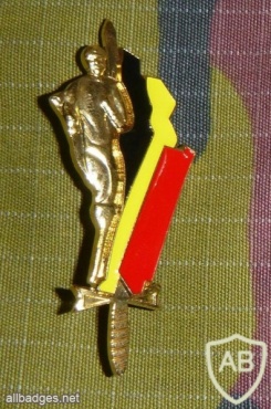 Belgium army sport badge, gold img7548