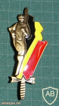 Belgium army sport badge, bronze img7547