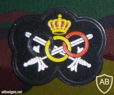 Belgium army sport fitness patch, old img7550