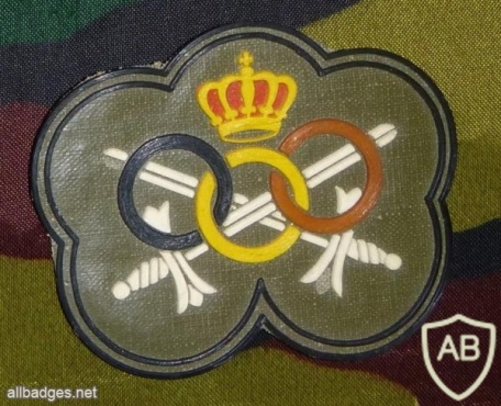 Belgium army sport fitness patch, old img7551
