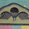 Para Commando Wings, field green img7530