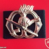 Korps Commandotroepen hat badge img7559