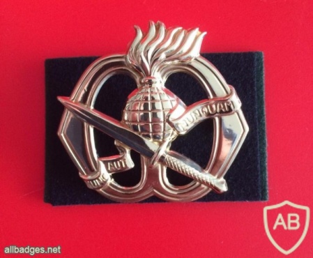 Korps Commandotroepen hat badge img7559