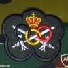 Belgium army sport fitness patch, old