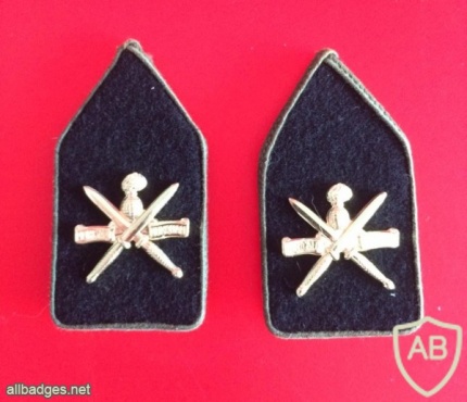Korps Commandotroepen collar badge img7562