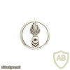 Administrative Technical Center cap badge, silver img7585