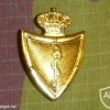 Medical beret badge, officer img7589