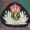 Medical cap badge, NCO