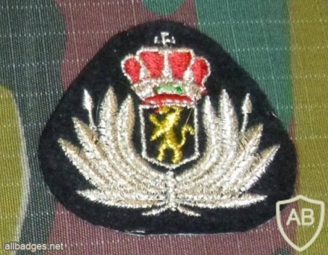Medical cap badge, NCO img7590