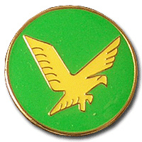 Golden Eagle Squadron - 140th Squadron img7598