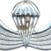 AFGHANISTAN Parachutist wings, Class 4, type III img7684