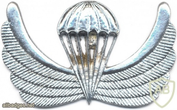 AFGHANISTAN Parachutist wings, Class 4, type III img7684