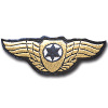 Pilot Wings - 50 years of flight img7735