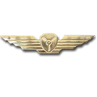 Airborne mechanic wings img7738