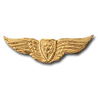 Pilot wings - Golden img7737