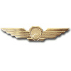 Hawk eye wings ( Air explorer ) img7802
