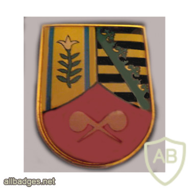 705th ABC Defense Batallion badge, type 2 img7776