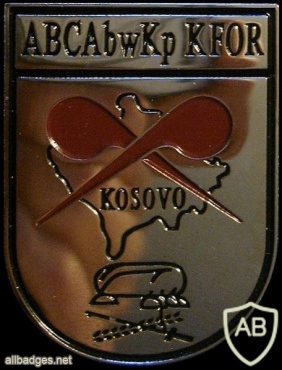 ABC Defense Company KFOR badge img7767