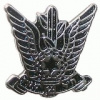 חיל האוויר- כסוף ( סיכה מוקטנת ) img7868