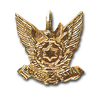 חיל האוויר- מוזהב ( סיכה מוקטנת ) img7869
