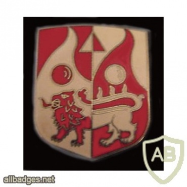 2nd Artillery regiment badge img7893