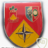 81st Field Artillery Battalion