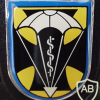 260th Airborne Medical Company badge, type 2 img8024