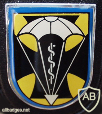 260th Airborne Medical Company badge, type 2 img8024