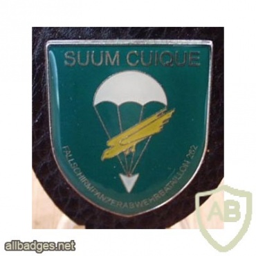 262nd Airborne Battalion badge img8031