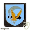 263rd Airborne Special Platoon