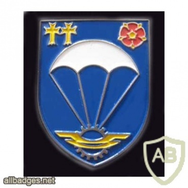 270th Airborne Supply Company badge, type 2 img8043