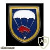 314th Para Batallion