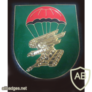 273rd Airborne Anti-Tank Batallion img8048