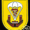 270th Airborne Medical Company