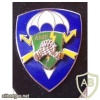 9th Airborne Signal Company badge, type 2